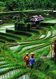 Menggambar akan terasa sulit jika tidak ada objek yang dilihat. Untitled By Huseyinzenginn 500px Kehidupan Pedesaan Gambar Pedesaan Pemandangan