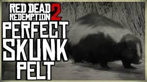 The skunk is a species of animal found in red dead redemption 2. How To Get A Perfect Skunk Pelt Red Dead Redemption 2 Pristine Skunk Hunt Youtube
