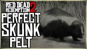 Skunk look rdr2 / evelyn miller on tumblr. How To Get A Perfect Skunk Pelt Red Dead Redemption 2 Pristine Skunk Hunt Youtube