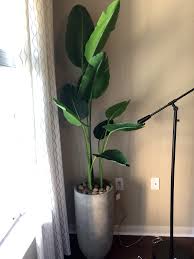 Bird Of Paradise Palm Plant One 5 Foot Artificial Silk Bird Of Paradise Palm Tree Potted Plant Birds Of Paradise Plant Plants Paradise Plant