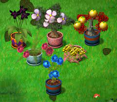 Ubbthreads php 762 215 514 plants planter pots planters. Steam Community Guide The 6 Magic Plants Of Isola In Depth Guide