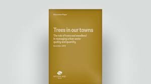 Locate it where water naturally pools temporarily after a rain event, such as a low spot in your yard. Improving Water Quality With Trees Woodland Trust