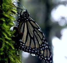 Pin En Turismo De Aventura