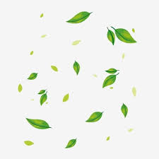 Hand Painted Green Plants Floating Leaves Plant Clipart Plant Green Plant Png And Vector With Transparent Background For Free Download Green Plants Watercolor Plants Leaves Illustration