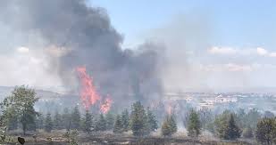 We did not find results for: Drk1uflp7p6pfm