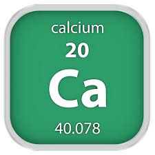Calcium Und Calcium Salze Fur Zahne Und Knochen