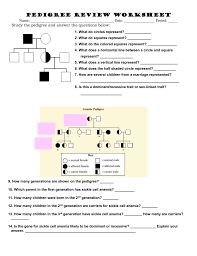 Pedigrees are used primarily by genetic counselors when helping couples decide to have. Pedigree Review Worksheet