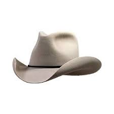 Free Grazer Mens Cowboy Hats Cowboy Hat Styles Cowboy Hats