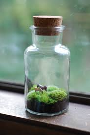 Two Tiny Horses Grazing On Hillocks Of Moss In A Lovely Vintage Jar With Cork Stopper About 8 Inches Tall Jar Will Vary Sl Terrarium Moss Terrarium Horse Diy