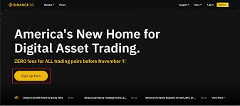 Are you interested in buying cryptocurrencies? Don T Get Banned By Binance How To Switch From Binance To Binance Us Cointracker