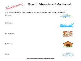 free printable science worksheets for grade 1