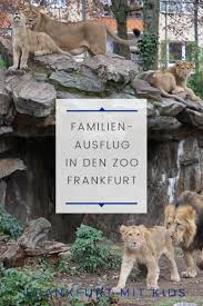Frankfurter Zoo Fur Die Ganze Familie Frankfurt Mit Kids Zoo Frankfurt Ausflug Zoo