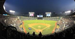 Batting averages, runs batted in, strike outs.baseball fans love t. History And Popularity Of Baseball In South Korea