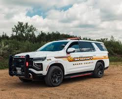 Image result for Brown 2021 Fleet