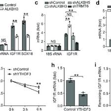 Enrico ist eigentlich schon raus, aber dann ruft ihn die jury noch einmal auf die bühne und gibt ihm eine zweite chance. 3793 Pdfs Review Articles In Mrna Degradation