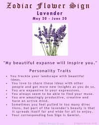 Lavender May 20 June 20 Gemini Flower Gemini Zodiac Zodiac