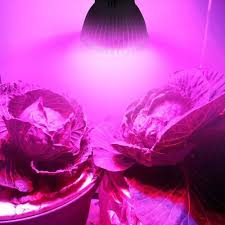 The lamps provide a similar or better light frequency than traditional grow lights of higher wattages. E27 Led Grow Lamp Flower Seed Plants Hydroponic Grow Light Lamp Bulb