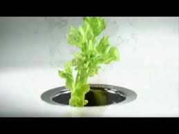 the insinkerator kitchen sink food