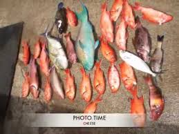 Seven men caught illegally spearfishing in waikiki conservation district by mindy pennybacker mpennybacker@staradvertiser.com sept. Travel Hawaii Free Diving Spearfishing North Shore Oahu Youtube