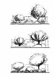Tree Presentation Architecture Tree Presentation Landscape Architecture Drawing Landscape Sketch Landscape Drawings