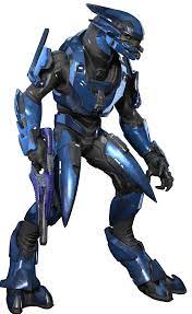 Sangheili Mercenary - Halopedia, the Halo wiki