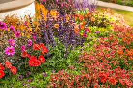 Create a whimsical fairy garden, plant some spectacular flower baskets, install steel landscape edging, or just send a cute nature inspired gift. Right Plant Right Place Proven Winners