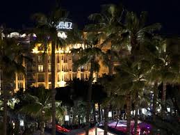 Wong for cool cantonese and palmer & co. Cannes Trivia Hotel Puts Hawks To Work To Keep Gulls Away From Celebs Travel Hindustan Times