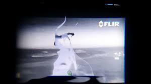 Scout iii captures sharp thermal imaging at a fast framerate for smooth, impeccable vision on running targets and from moving vehicles. Flir Scout Iii 320 Thermal Vision Monocular Youtube