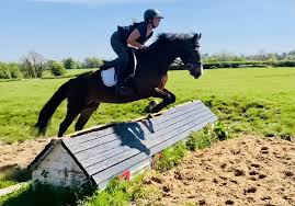 Image result for tbn:nS7VVzE55vmeuM::www.sportnat.com/lapouneur/bouton/course.gif