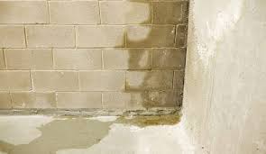 We did not find results for: Basement Waterproofing Services In Your Area