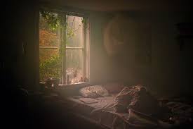 Morning Light Messy Bed Morning Light Photo
