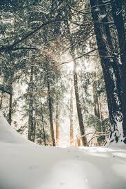 Winter Wallpapers Free Hd Download 500 Hq Unsplash