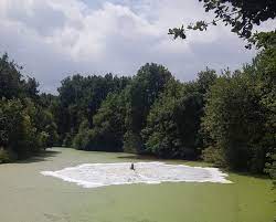 Aerator rental starts at $110 per day. Rental Equipment Atb Water