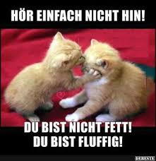 Besten Bilder Videos Und Spruche Und Es Kommen Taglich Neue Lustige Facebook Bilder Auf Debeste De Hier Werden Taglic Meme Lustig Lustige Tiere Spruche Tiere