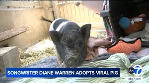 Diane Warren Just Adopted a Pig—and It’s the Most Unexpected Hollywood Power Move of the Year