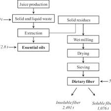 Flowchart Showing Orange Juice Process Download