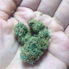 Gmo cookies, (aka garlic cookies) is a powerful indica marijuana strain made by crossing chemdog with gsc. Zkittlez Aka Skittles Skittlz Island Zkittlez Weed Strain Information Leafly