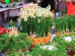 Join us as we embrace chinese culture in. A Guide To Chinese New Year Flowers And Fruits Time Out Hong Kong