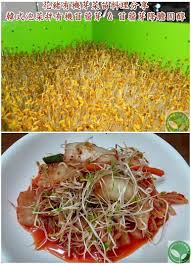 pin on organic sprouts
