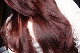 Si Je Vous Disais Que Bloguer M Avait Manque Me Croiriez Vous Et Quoi De Mieux Que De Parler De He Henne Cheveux Henne Du Rajasthan Coloration Cheveux Blancs