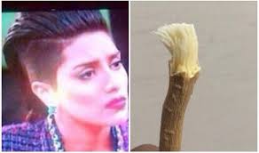 صورة وتعليق Sur Twitter قصة شعر هيا عبدالسلام Http T Co Xgfwuejcen