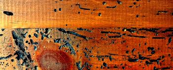Woodworm Treatment For Furniture Heritage Timber Care