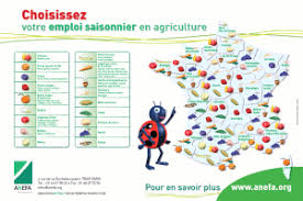 Les Activites Saisonnieres Avefa Vendee