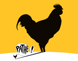 Website © 2019 flicks ltd. Pathe 2018 Plaquette Annuelle