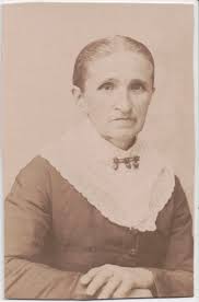 Family History Notebook