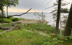 Click on the tree to put a lot of money. With State Environmental Permits Now Finalized Belfast Fish Farm Project Still Faces Legal Challenge