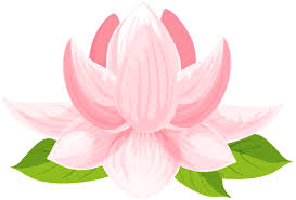 Water Lily Png Clip Art Image Lotus Flower Logo Design Lotus Flower Logo Flower Art