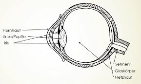 Auge Zeichnen Schritt Fur Schritt Anleitung Fur Meisterhaftes Augen Malen