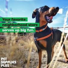 Add a business to let us know about it. Coastal Harness Demo Pet Supplies Plus Sarasota East Fl 12 June 2021