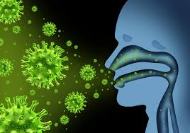 Image result for Influenza